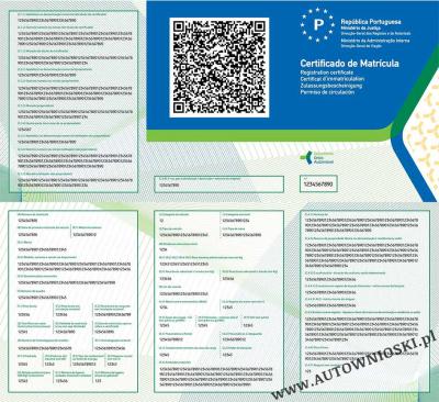 Dowód rejestracyjny (Certificate of registration, Certificat d'immatriculation, Carta di circola)